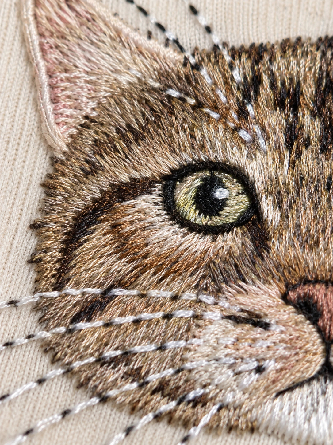 Close-up of the threadwork in a cat portrait, including its eye and whiskers